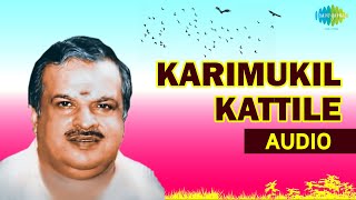 Karimukil Kattile Song  Kallichellamma  Jayachandran Malayalam Hits [upl. by Kenta273]