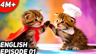 Funny cats English Episode 01 [upl. by Walke]