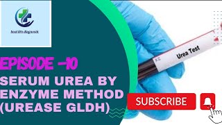 episode10estimation of urea by enzyme urease GLDH methodbushrajilaniansari97 stayfitstaysafe [upl. by Violante]