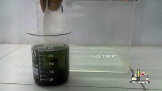 SEPARATE MIXTURE OF LEAD AND CADMIUM IONS BY PAPER CHROMATOGRAPHY  CHEMISRTY PRACTICAL [upl. by Leahcimed]