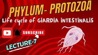 Life Cycle of Giardia  Giardiasis  Lambliasis  Notes pdf in description [upl. by Buchbinder752]