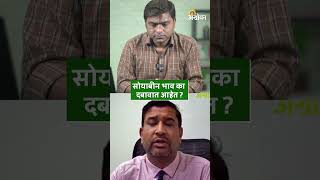 Soybean Rate सोयाबीन भाव दबावात का आहेत   Agrowon [upl. by Eibloc]