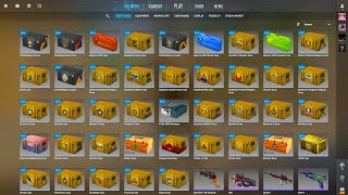 I Unboxed Every Case in CS2 [upl. by Collyer922]