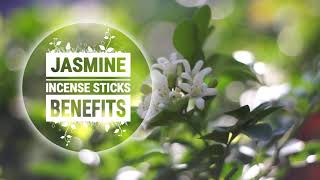 Benefits of Burning Jasmine Incense Sticks [upl. by Navonoj10]