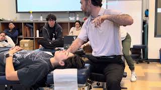 Supine Face Advanced Palpation Exam  Chiropractic Care [upl. by Teece]