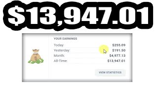 Revealing My Monthly CPA Income 📊  Multiple Networks One Strategy [upl. by Bethina]