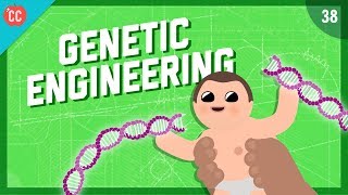 Changing the Blueprints of Life  Genetic Engineering Crash Course Engineering 38 [upl. by Ecertap]