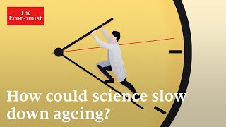 Longevity can ageing be reversed [upl. by Rhyne258]