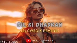 Dil Ki Dhadkan Slowed  Reverb  Mind Fresh Lofi Song Mind Relax Lofi Mashup  Anu Deep Tirkey [upl. by Janene]