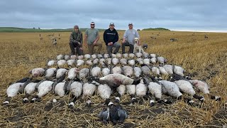 Early Nodak Honker BEATDOWN 4 man limit [upl. by Linea]