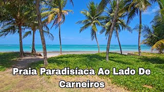 Tamandaré Pernambuco Praia Das Campas Como Chegar [upl. by Drhacir]