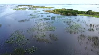 Lake Okeechobee on rise after tropical rains [upl. by Fisch573]