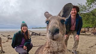 Queensland Road Trip 2024 Pt4 Cape Hillsborough to Agnes Water [upl. by Gentilis8]