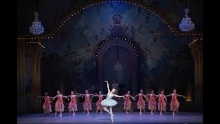 The Nutcracker  Program Overview [upl. by Dloniger]