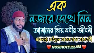 আমাদের নবিজ কেমন ছিলেন দেখে নিন। সাইফুল আজম বাবর আজহারী। Saiful Azam Babar Azhari waz [upl. by Yelyab]