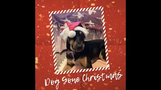 DancingDoggo23s Christmas special  Dog Gone Christmas [upl. by Reube]