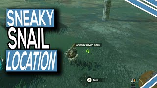 Where To Find Sneaky River Snails In Zelda Tears Of The Kingdom [upl. by Annahael]