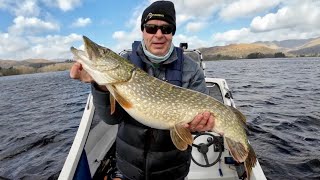 PTP Fishing  Northern Pike Fishing  Windermere UK [upl. by Raamaj]