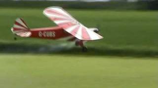 DB 84 inch wingspan model Piper Cub [upl. by Ahsemik104]