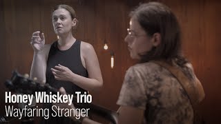 Honey Whiskey Trio performing Wayfaring Stranger Live [upl. by Dollie]