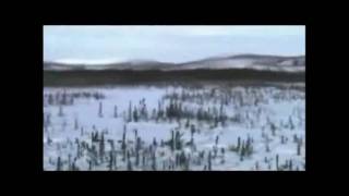 Iditarod Trail Song by Alaskas Hobo Jim [upl. by Aicina]