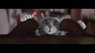 Sainsburys Christmas Advert  2015  Mogs Christmas Calamity [upl. by Ebonee816]