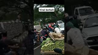 Sayur murah abang sayur membagi bagikan kesemua yang lewat shorts [upl. by Kyd]