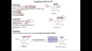 biochemistry vitamins B6 PLP فيتامين بايوكيميستري [upl. by Artened]