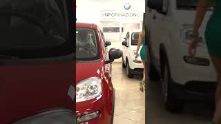 ROTOLO AUTOMOBILI A TORINO TI ASPETTA CON TANTISSIME FIAT PANDA in PRONTA CONSEGNA fiatpanda [upl. by Rusell]