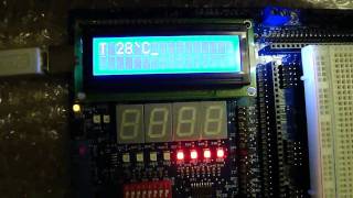 Temperature Controlled DC motor using HCS12 [upl. by Colyer37]