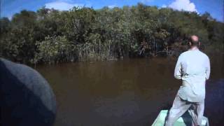 Agua Boa Amazon Lodge  Peacock Bass Fishing 2012 [upl. by Bernardine]