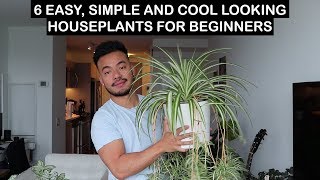 EASY HOUSE PLANTS FOR BEGINNERS [upl. by Lavud348]