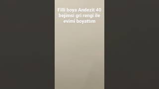 Filli boya Andezit 40 bejimsi gri rengi ile evimi boyattım [upl. by Yennor418]