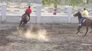 Sainik SchoolBijapur Horse Riding training to cadets [upl. by Carlina]