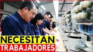 Tengo NUEVAS VACANTES de Trabajo en Canada La Empresa Paga los GASTOS  DesafioTorontoJC [upl. by Mendoza]