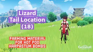 Lizard Tail Farming Guide  Lizard Tail Location  Genshin Impact [upl. by Dinsmore]