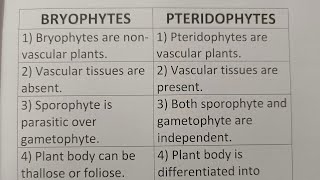 Difference Between Bryophytes And PteridophytesClass Series [upl. by Gambrell801]