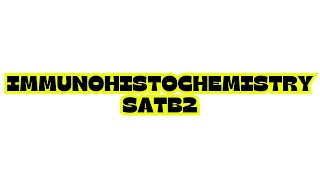 IMMUNOHISTOCHEMISTRY SATB2 [upl. by Matti]