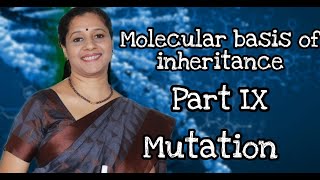 NEET  MOLECULAR BASIS OF INHERTANCE PART IX MUTATION [upl. by Sucramaj]