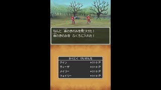 DQ9 地図法「いのちのきのみ」（臼倉使用） [upl. by Ytteb]