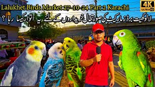 Lalukhet Birds Market 271024 Part 2 Karachi Latest Updates  Teeter Pigeon Java Finch Lovebirds [upl. by Theron]