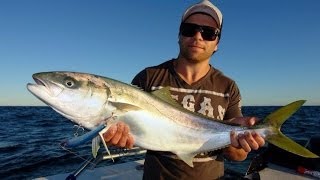 SOUTHERN YELLOWTAIL KINGFISH TOPWATER  YouFishTV [upl. by Troxell]