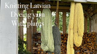 Dyeing yarn with plants Vlog [upl. by Kurys]