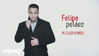 Felipe Peláez Manuel Julián  Mi Celosa Hermosa Cover Audio [upl. by Aiderfla]