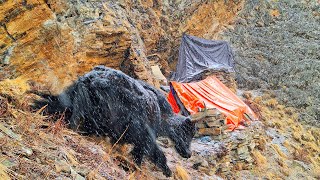 Most Relaxation Himalayan Village Life into the Snow  Dolpa Nepal Documentary Video Snowfall Time [upl. by Vey]