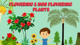 Flowering and non flowering plants  Plant life cycle  Video for Kids [upl. by Reace]