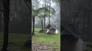 Solo camping was in torrential rain and thick fog in the forest campinginheavyrain shorts [upl. by Quick394]