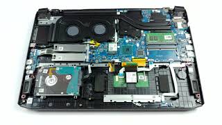 Acer Nitro 5 AN51751  disassembly and upgrade options [upl. by Elnukeda158]