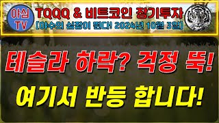 TQQQ BTC 실전투자 테슬라 하락 걱정 뚝 여기서 반등 합니다 TQQQ BTC 장기투자ㅣ도전 월배당 천만원ㅣ노후준비ㅣ야심매매법 [upl. by Cocks175]