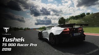 Assetto Corsa Tushek TS 900 Racer Pro 2018 [upl. by Nerb]